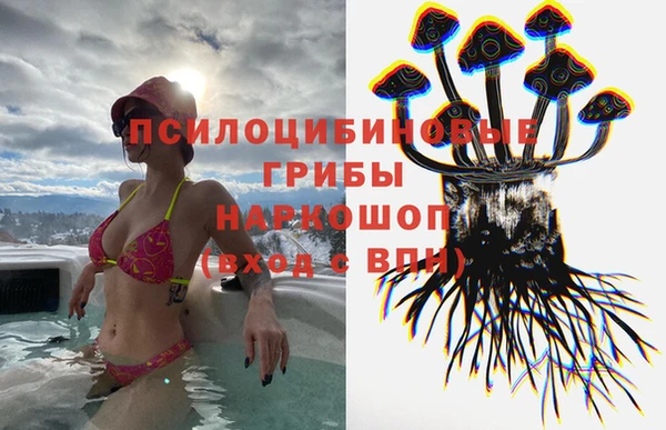 дурь Балахна