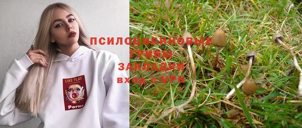 дурь Балахна