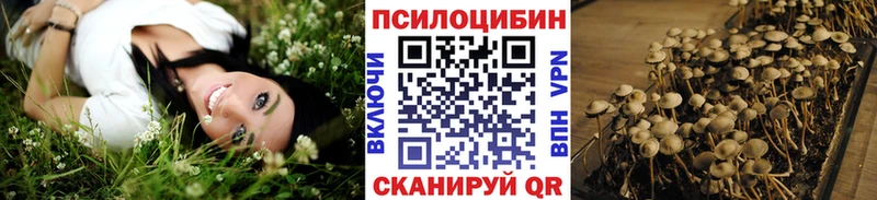 Галлюциногенные грибы MAGIC MUSHROOMS купить наркоту кракен ТОР Белая Холуница
